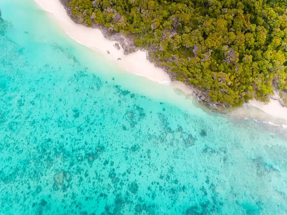 L'île de Pungume et son environnement pour le snorkeling