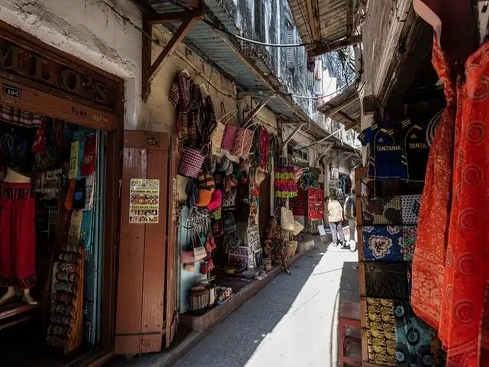 Ruelle étroite de Stone Town avec des commerçants locaux, boutiques traditionnelles et passants